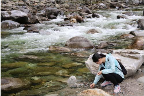 NG电子游戏·(中国区)官方网站