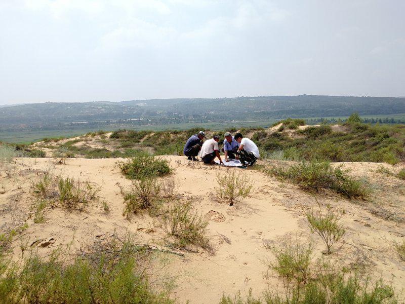 NG电子游戏·(中国区)官方网站