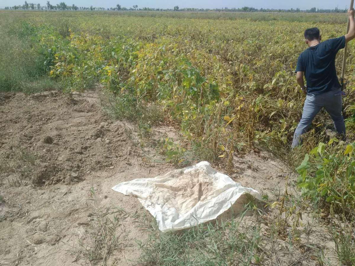 NG电子游戏·(中国区)官方网站