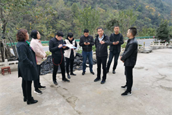 202012081708205921_248x166