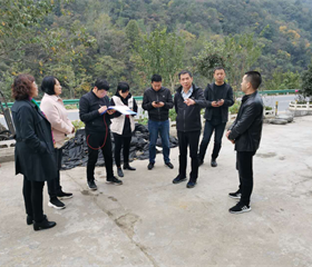 202012081708205921_280x240