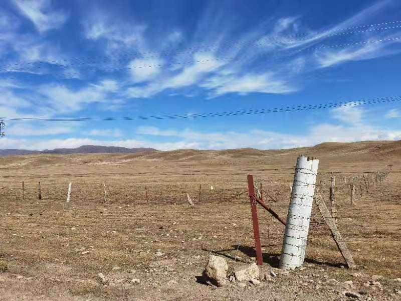 NG电子游戏·(中国区)官方网站