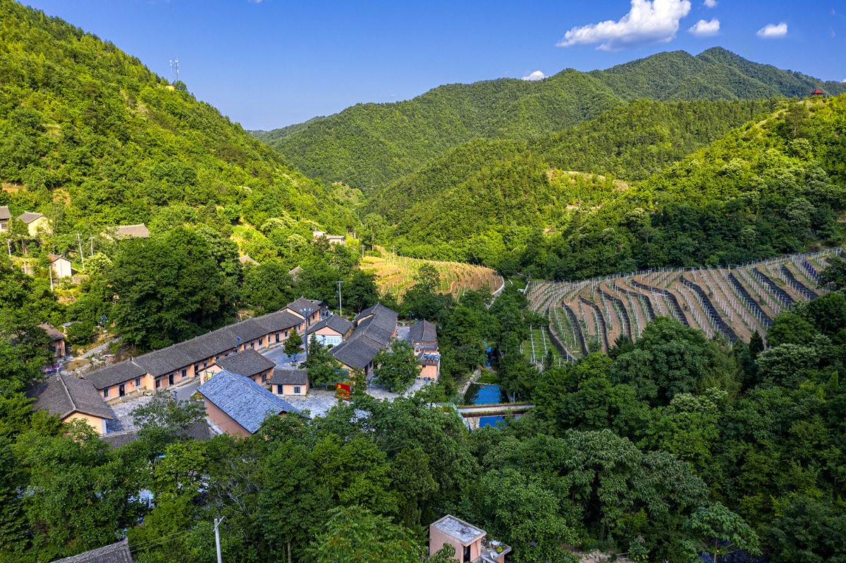 NG电子游戏·(中国区)官方网站