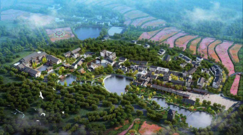 NG电子游戏·(中国区)官方网站