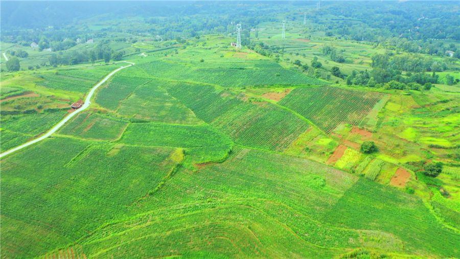 NG电子游戏·(中国区)官方网站