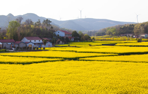 NG电子游戏·(中国区)官方网站