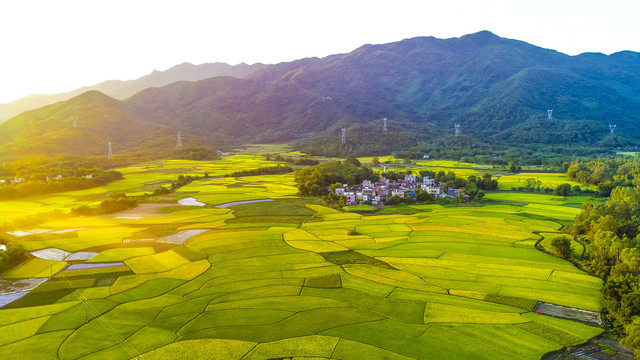 NG电子游戏·(中国区)官方网站