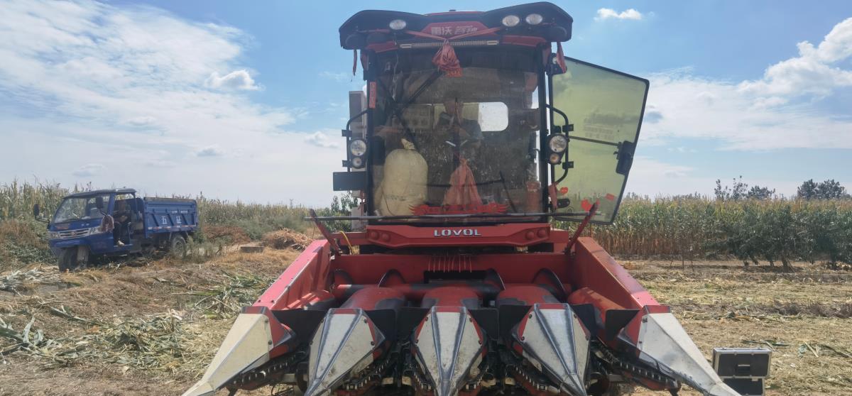 NG电子游戏·(中国区)官方网站